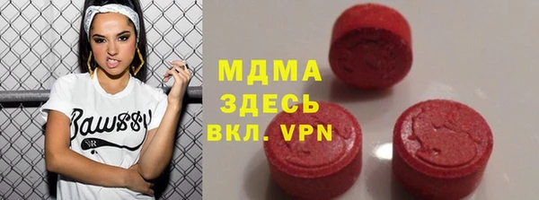 шишки Себеж