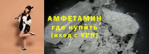 прущие грибы Мегион