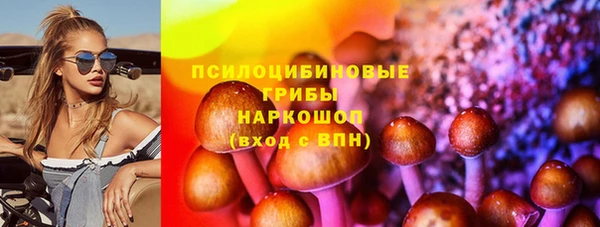 шишки Себеж