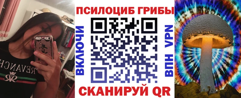 Галлюциногенные грибы Psilocybine cubensis  hydra ССЫЛКА  Стародуб 